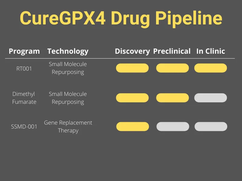 CureGPX4 drug pipeline